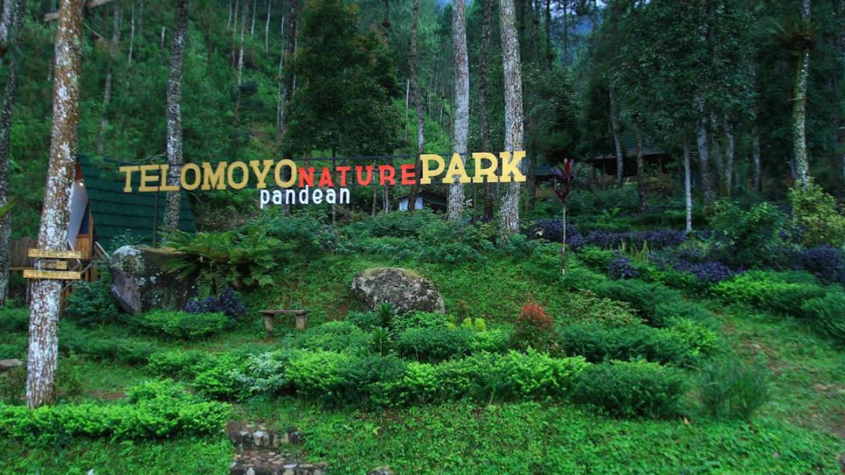 Telomoyo Nature Park: Destinasi Menakjubkan di Jawa Tengah